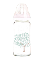 Tigex Transition+ Anti-Colic Bottle, 240ml, Clear