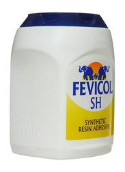 Fevicol Glue, 1Kg, White