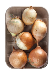 Vegan Organic Red Onion, 500g