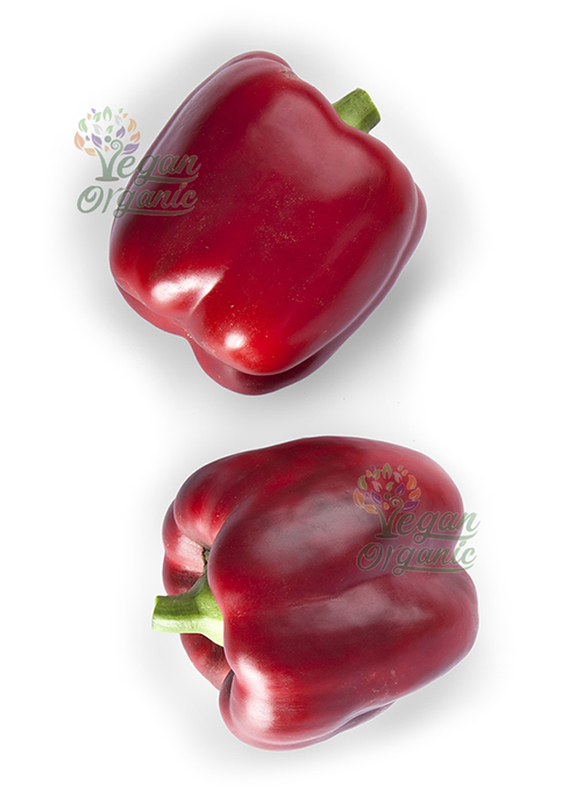 Vegan Organic Red Capsicum, 500g