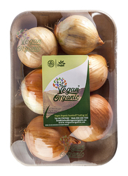 Vegan Organic Red Onion, 500g