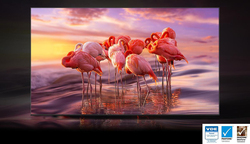 Samsung 65-Inch Q60B 4K Ultra HD QLED Smart TV, QA65Q60BAUXZN, Black