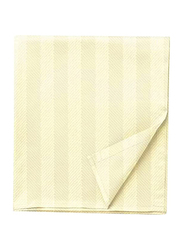 BYFT Tulip 100% Cotton Satin Stripe Flat Bed Sheet, 300 Tc, 1cm, 160 x 280cm, Single, Cream