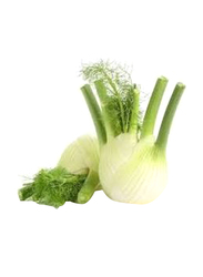 Lets Organic Fennel Holland, 1 Kg