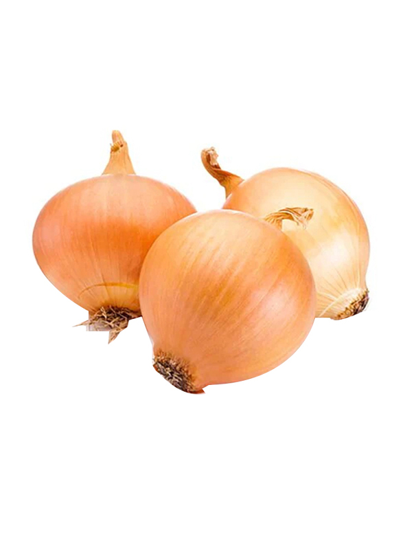 

Yellow Onion Egypt, 500g