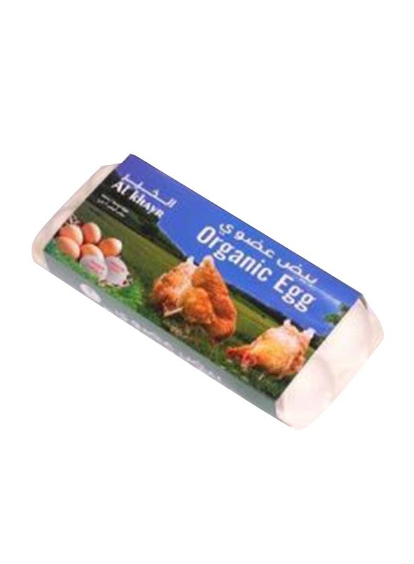 

Al Khayr Organic Eggs, 6 Pieces