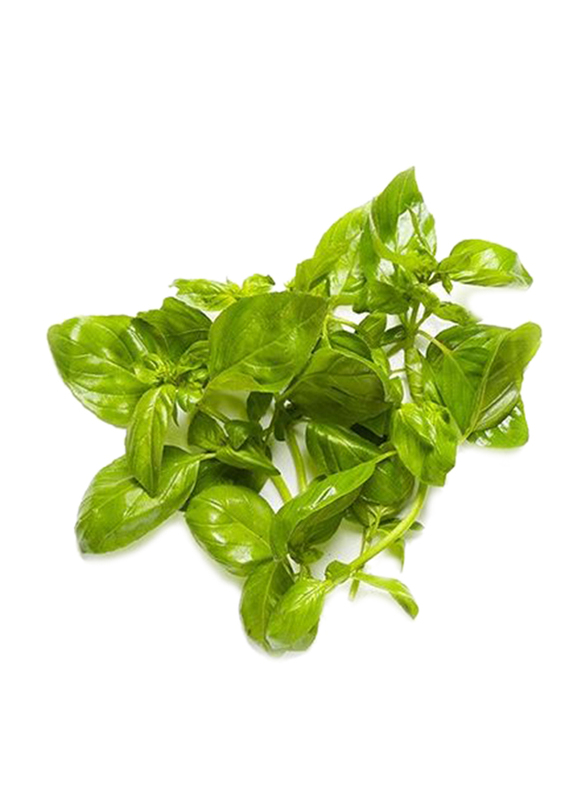 

Lets Organic Basil, 100g