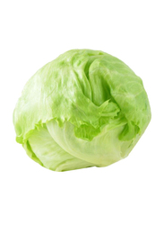Lets Organic Iceberg Lettuce Lebano, 1 Kg