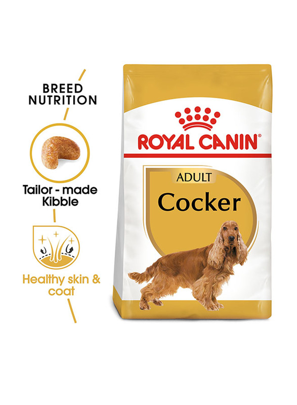 

Royal Canin Breed Health Nutrition Cocker Adult Dog Dry Food, 3 Kg