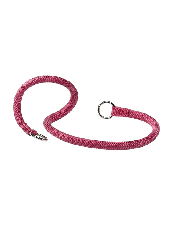 

Fernplast DC 35cm Sport CS Choke Collar for Dogs, Pink