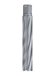 Euroboor TCT Annular Cutter, 120mm x 100mm, Silver