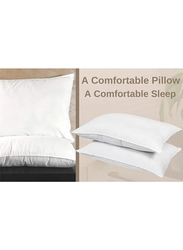 Home Canvas Dream Sleeping Wood Pillow Set, 2 Pillows, White