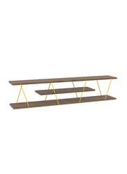 Home Canvas Modern Tars TV Stand, Multicolour