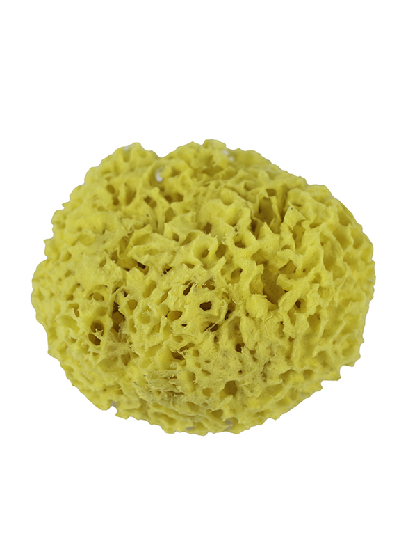 

House of Adam Honeycomb Bath Sea Sponge, Yellow, Small