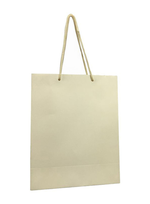 

Paper Gift Bag Set with Handle, 12 Piece, Beige