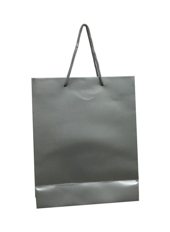

Paper Gift Bag, 12 Pieces, Large, Silver