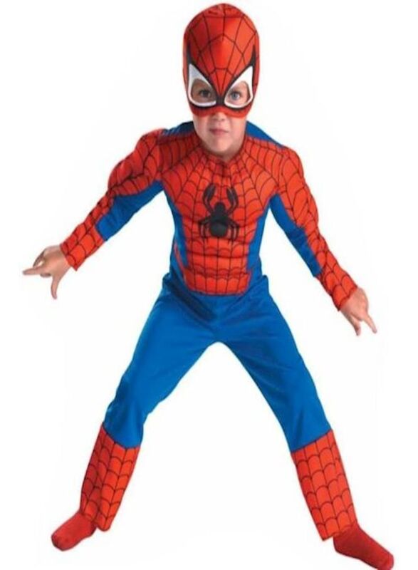 

Spiderman Character Costume, Multicolour