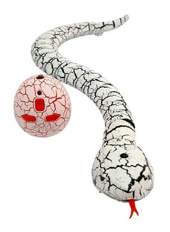 

Toy School Remote Controlled Rattlesnake, Ages 8+, Multicolour