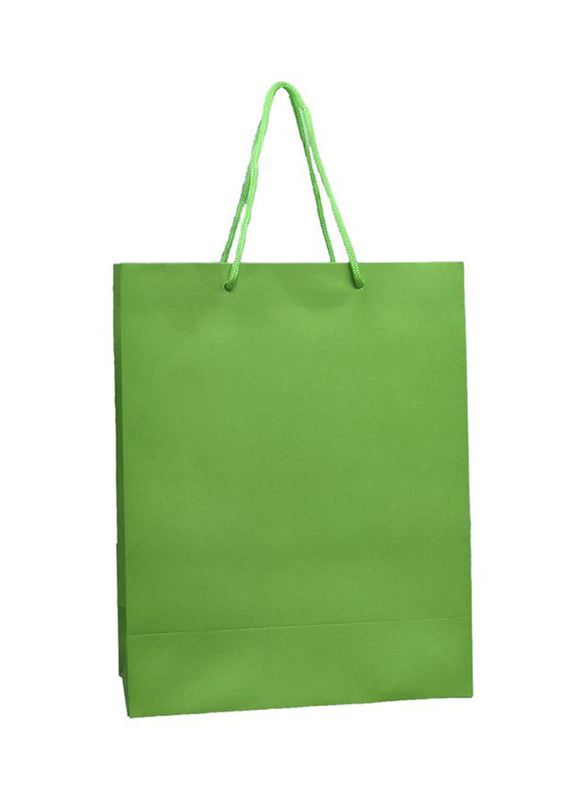 

Paper Gift Bag Set, 12 Piece, Green