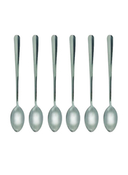 Raj 6-Piece Steel Spoon Set, PC0020, Silver
