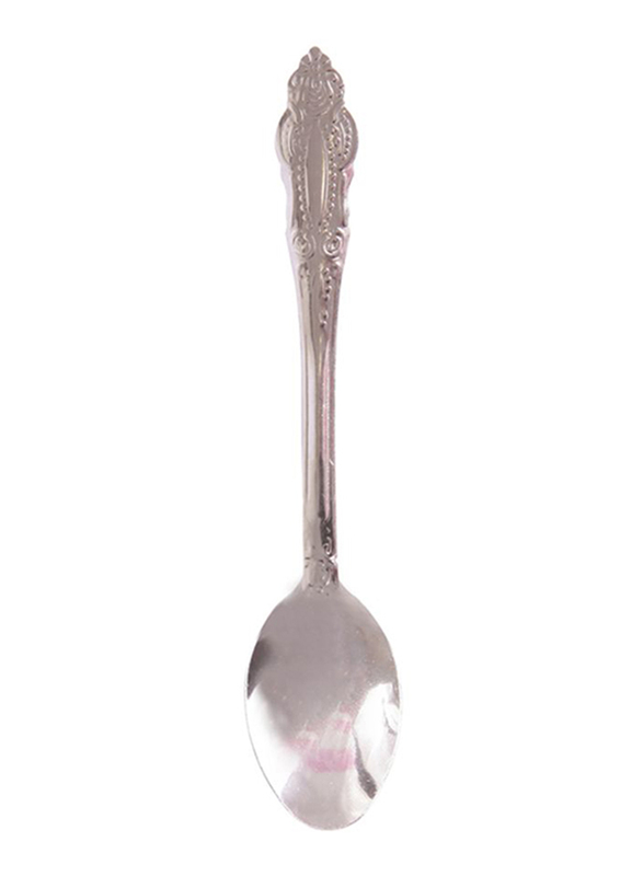 Raj 12-Piece Stainless Steel Eco Tea Spoon Set, RK0057, Silver