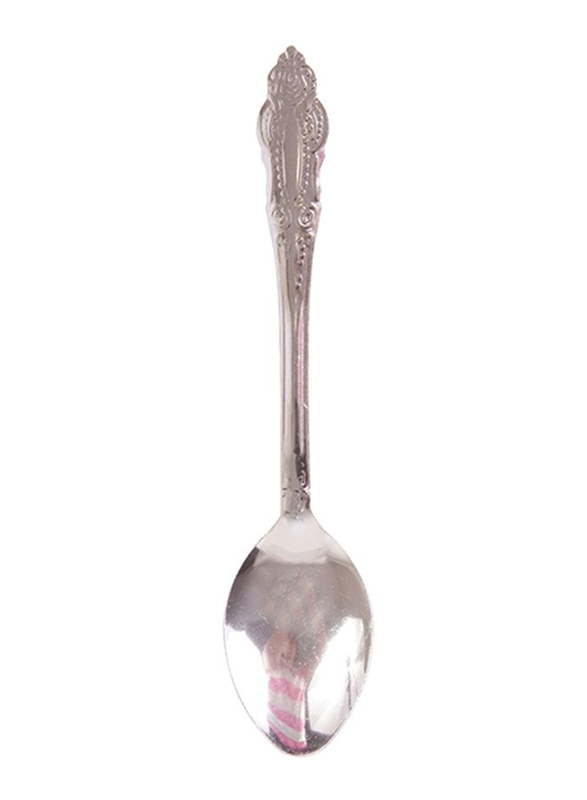 Raj 12-Piece Stainless Steel Eco Dessert Spoon, RK0056, Silver