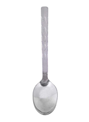 Raj 12-Piece Stainless Steel Symphoney Tea Spoon Set, STS001, Silver