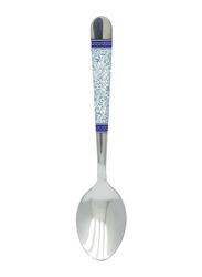 RK 15cm 6-Piece Stainless Steel Spoon Set, RK0081, Silver/Blue