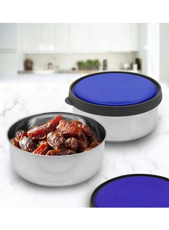 Raj Stainless Steel Storage Bowl with Lid, Silver/Blue
