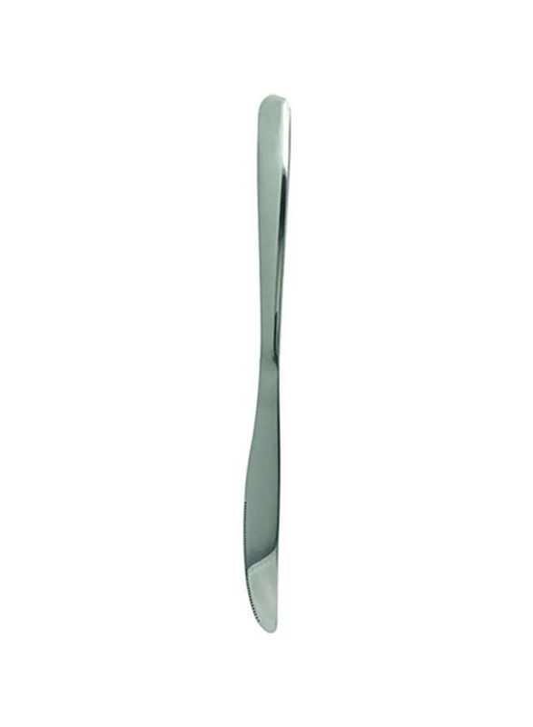 Raj 6-Piece Stainless Steel Knives Set, PC0018, Silver
