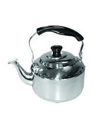 Raj 5 Ltr Weilong Induction Steel Tea Kettle, STK004, Silver