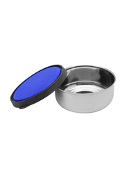 Raj Stainless Steel Storage Bowl with Lid, Silver/Blue