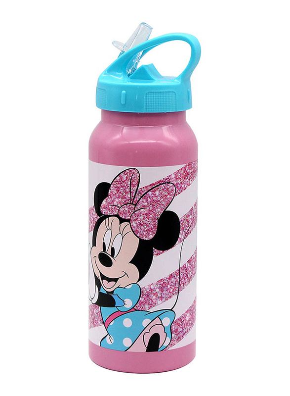 

Minnie Stainless Steel Spring Palms Water Bottle, Pink