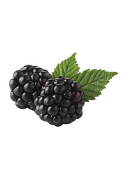 Blackberry, 1 Pack