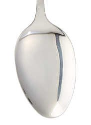 Flamingo Mirror Polish Stainless Steel Solid Spoon, FL4558KW, Silver