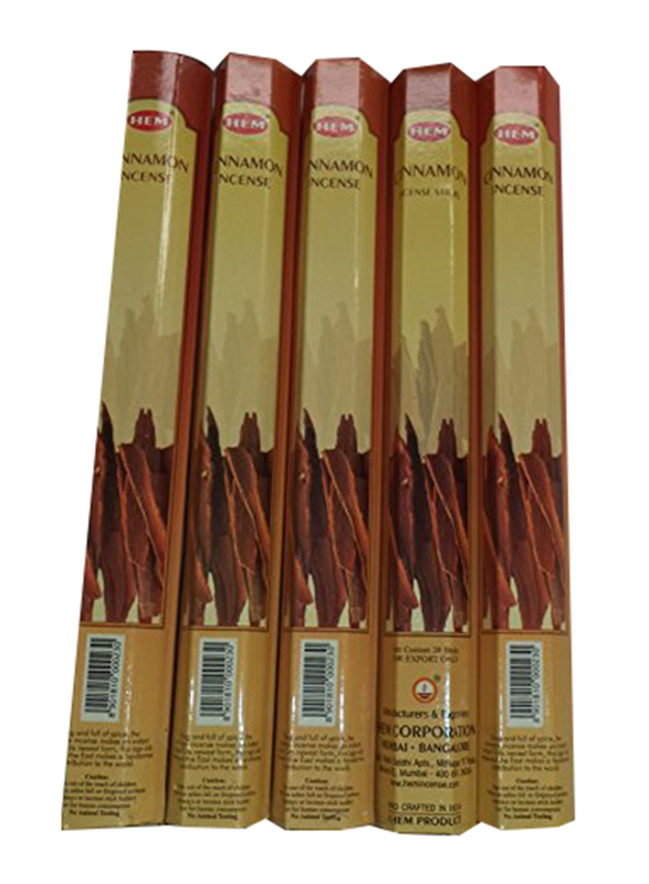 

Hem Cinnamon 100 Incense Sticks, 5 Packs x 20 Sticks