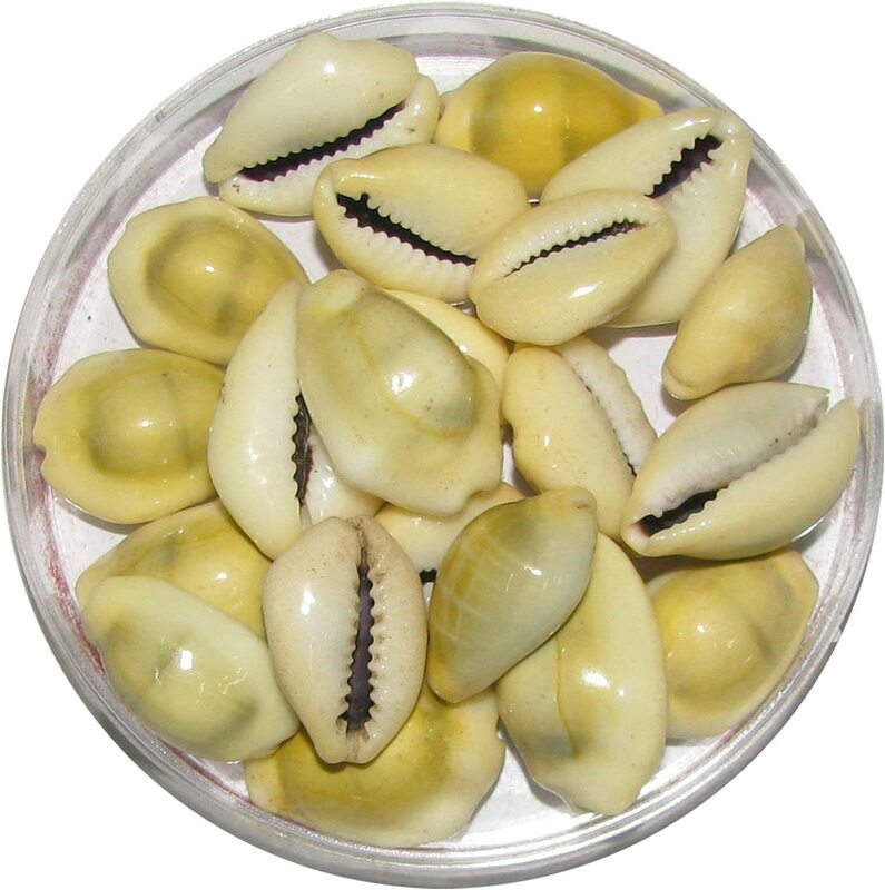 

Pmw Natural Lakshmi Peeli Kodi, Grey, 11 Pieces