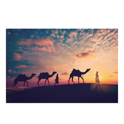 Danube Home Lorena Sunset Camel Trekking Stretched Canvas, 80 x 120cm, Multicolour
