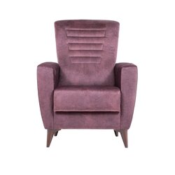 Danube Home King Plain Fabric Sofa, Single Seater, Purple Brown