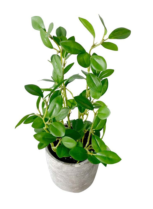 

Danube Home Artificial Plants with Cement Pot, Grey