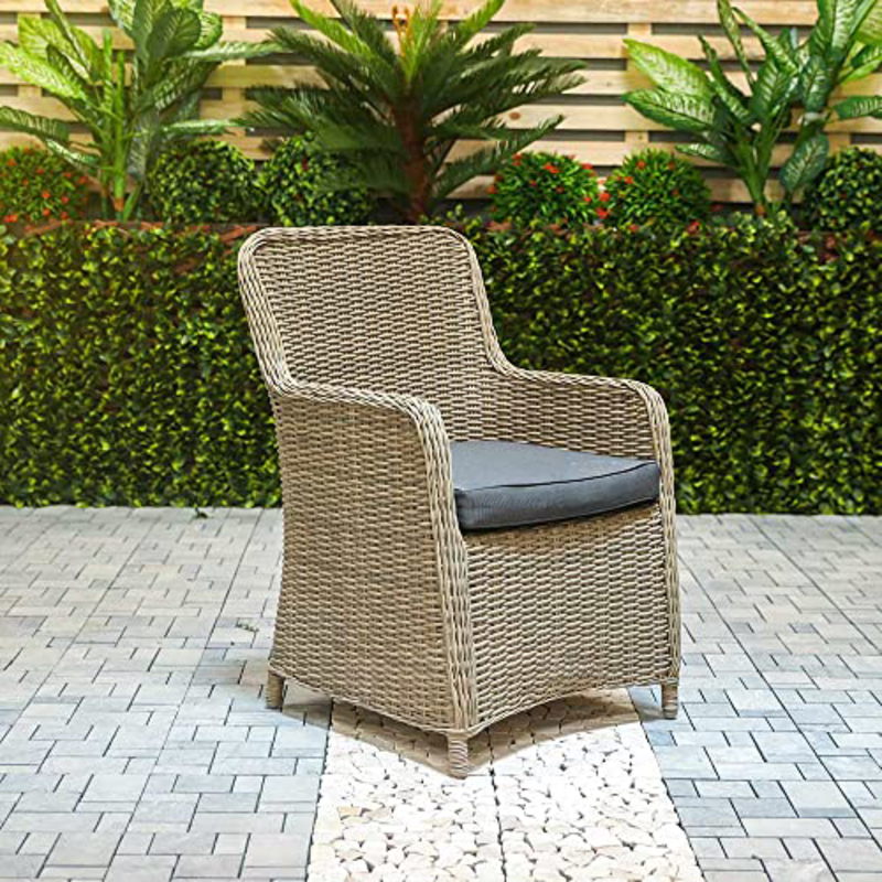 

Danube Home Amigo Rattan Chair, Beige