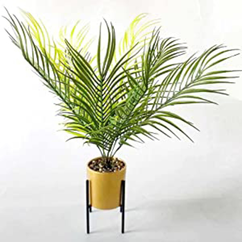 

Danube Home Artificial Plants with Cement Pot, LV-CF003, Gold