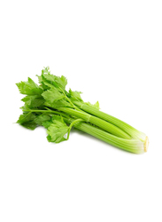 Casinetto Chicory Castelfranco Variegato Italy
