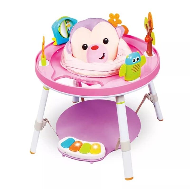 

Toy Land Multifunction 3 Stage Baby Activity Centre, Purple