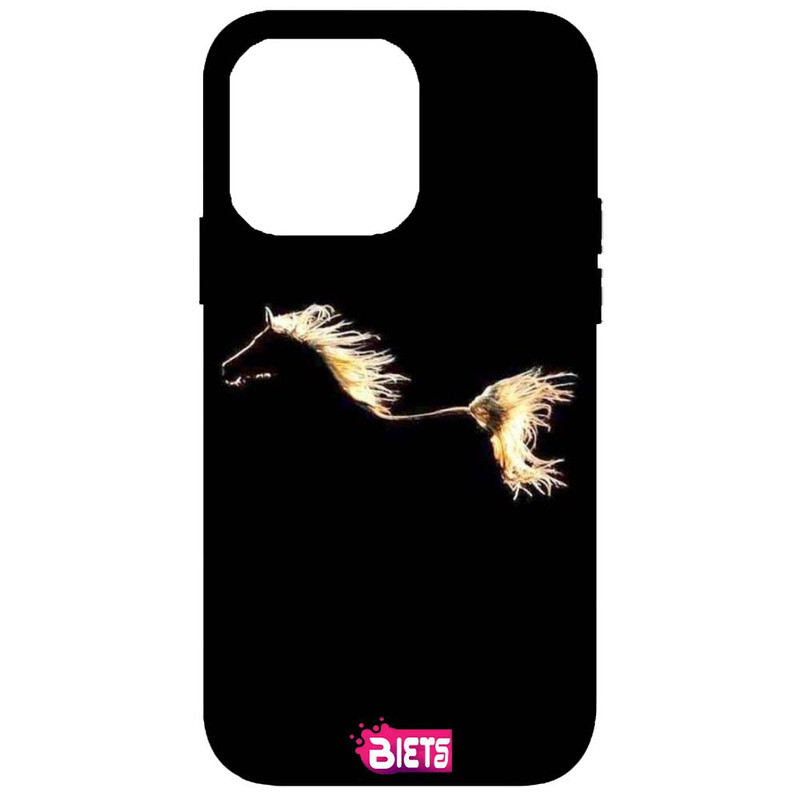 

BIETS Protective Printed Back Case Cover For Iphone 13 Pro Max