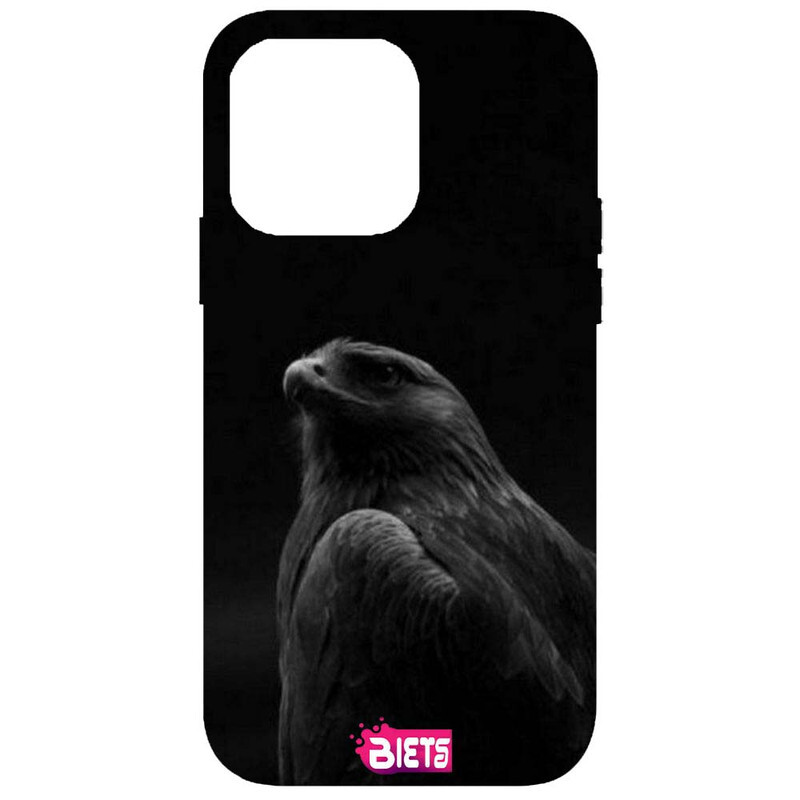 

BIETS Protective Printed Back Case Cover For Iphone 14