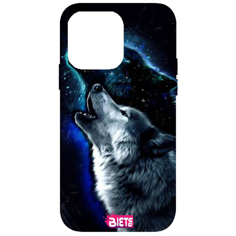 

BIETS Protective Printed Back Case Cover For Iphone 13 Pro Max