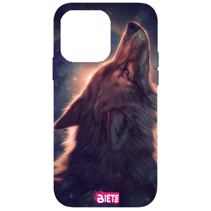 

BIETS Protective Printed Back Case Cover For Iphone 13 Pro Max