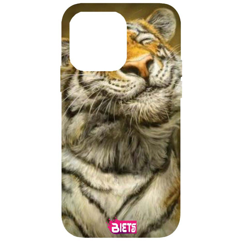 

BIETS Protective Printed Back Case Cover For Iphone 14 Pro