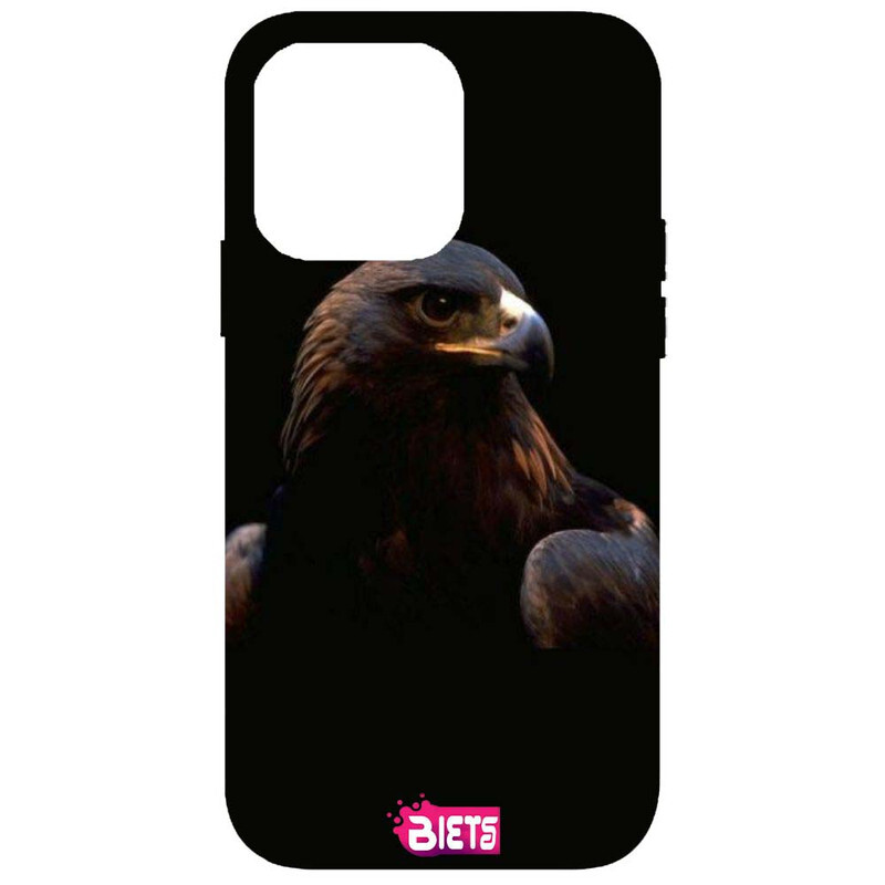 

BIETS Protective Printed Back Case Cover For Iphone 14